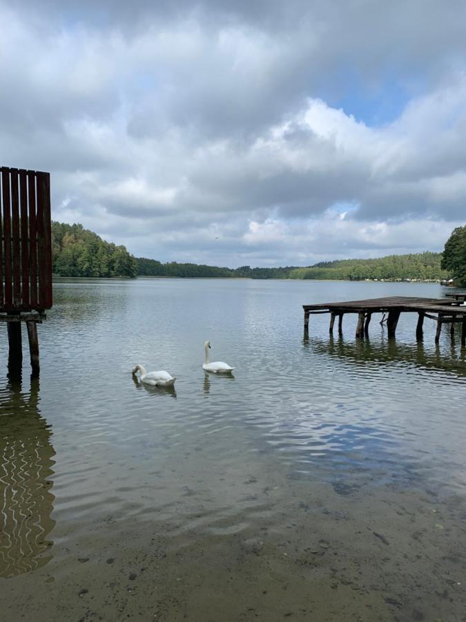 Domki Nad Brzegiem Dluzek Eksteriør bilde